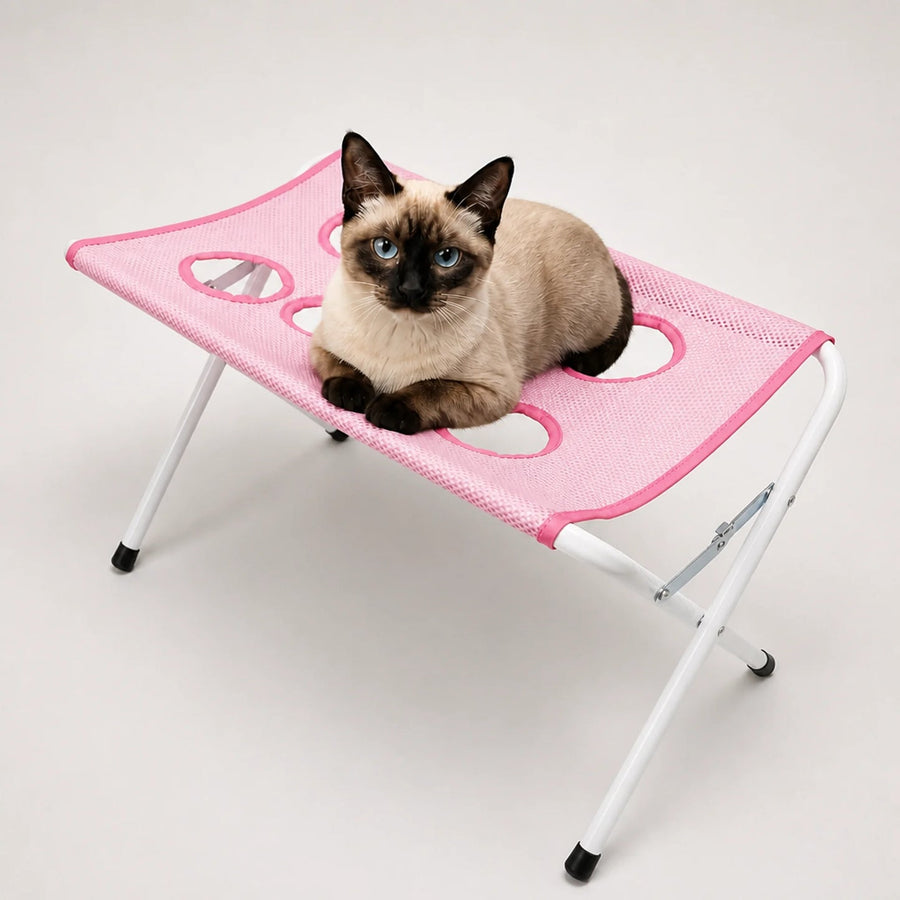 Station de toilettage CALIMOA rose avec un chat