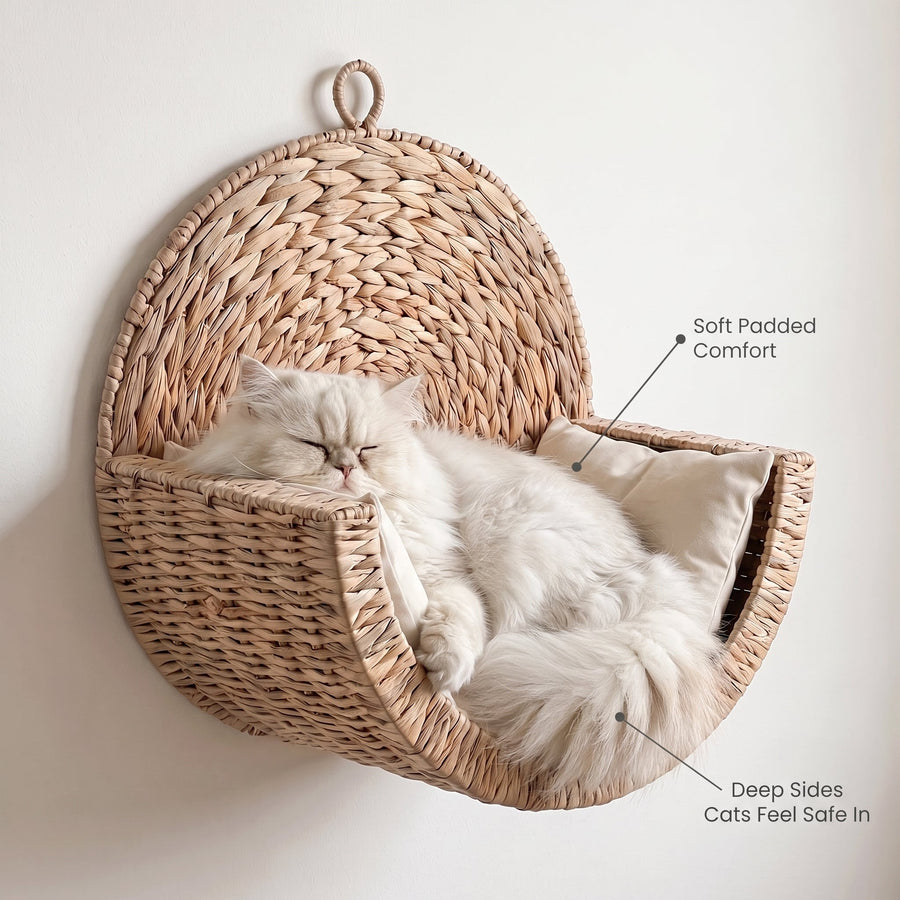Cat resting in the Luno Pets woven wall bed