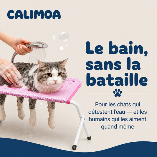 Chat pendant le bain sur la station de toilettage CALIMOA rose