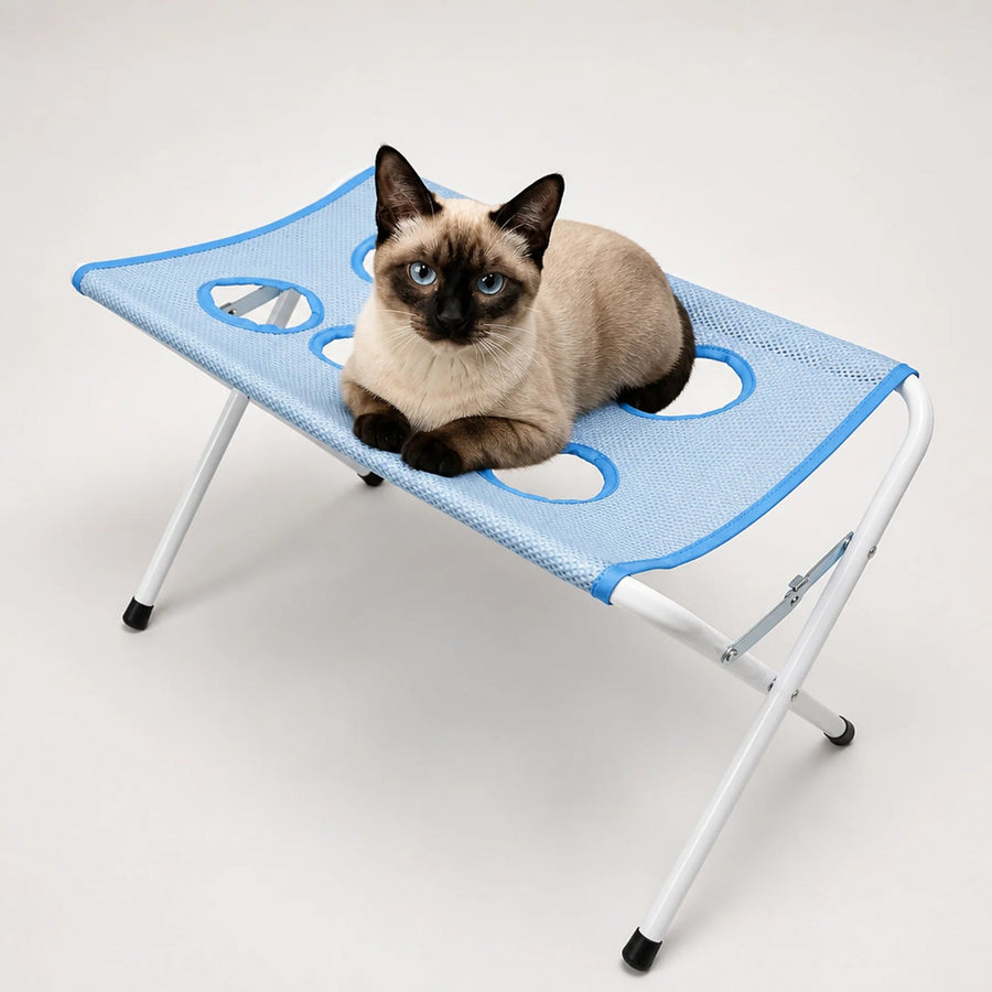 Station de toilettage CALIMOA bleue avec un chat